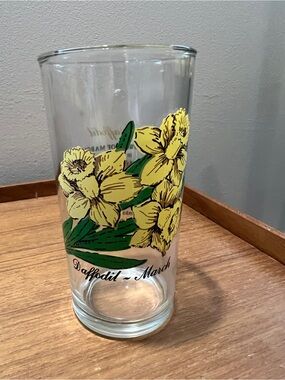 Vintage Brockway Flower Of The Month March Daffodil Drinking Glass Tumbler